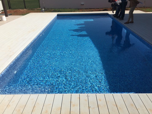 skimmer liner